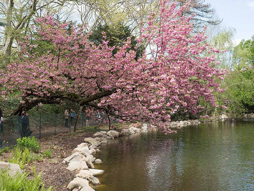 Passeio em família em NY