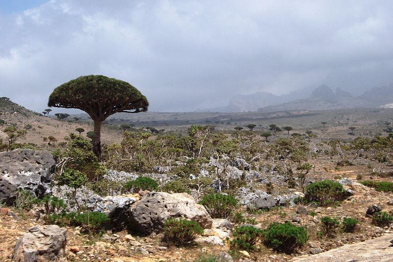 Lugares diferentes no mundo
