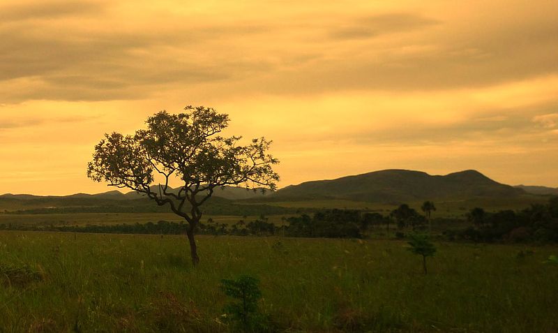 Lugares curiosos no Brasil
