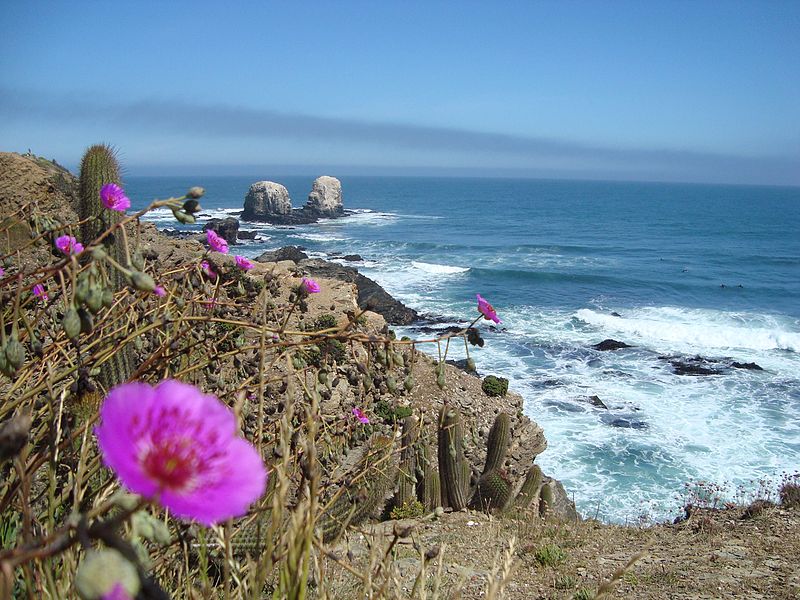 Pichilemu é a cidade do surf no Chile