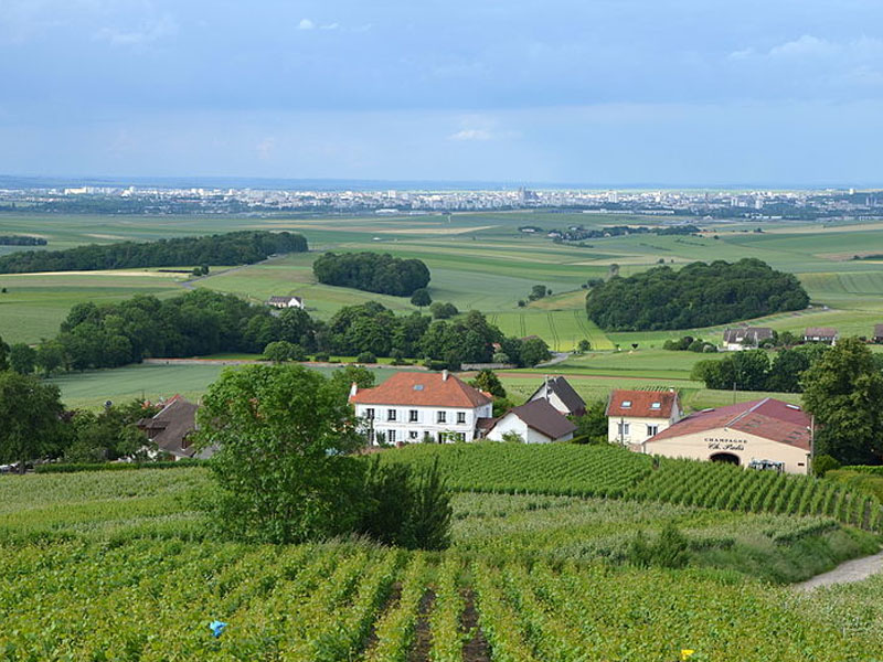 Melhores rotas do vinho da França