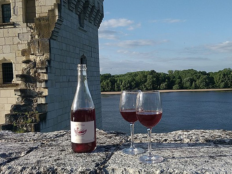 Passeios com vinho na França