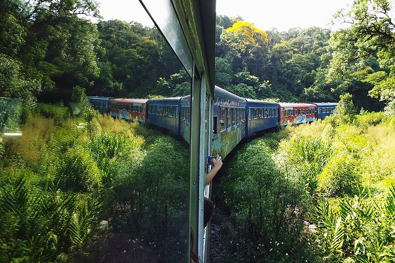 Viagem de trem para Morretes