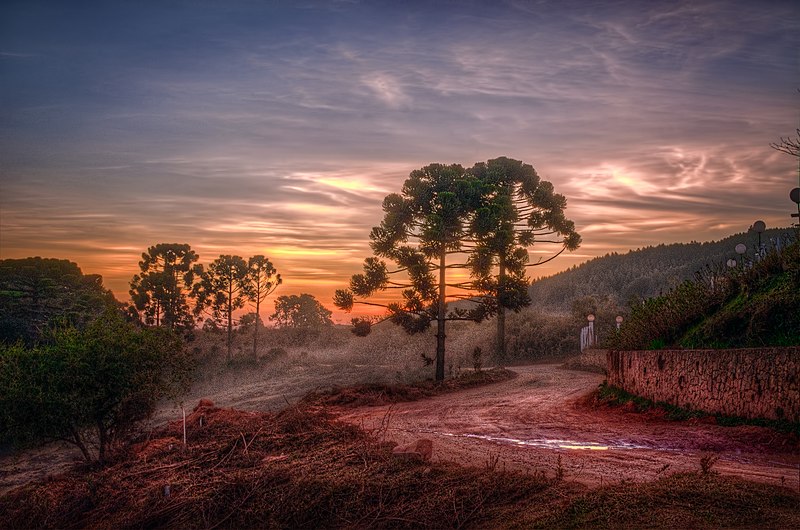 Arredores de Campos do Jordão