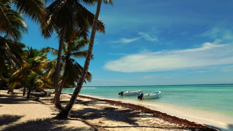 Passeio Ilha Saona em Punta Cana