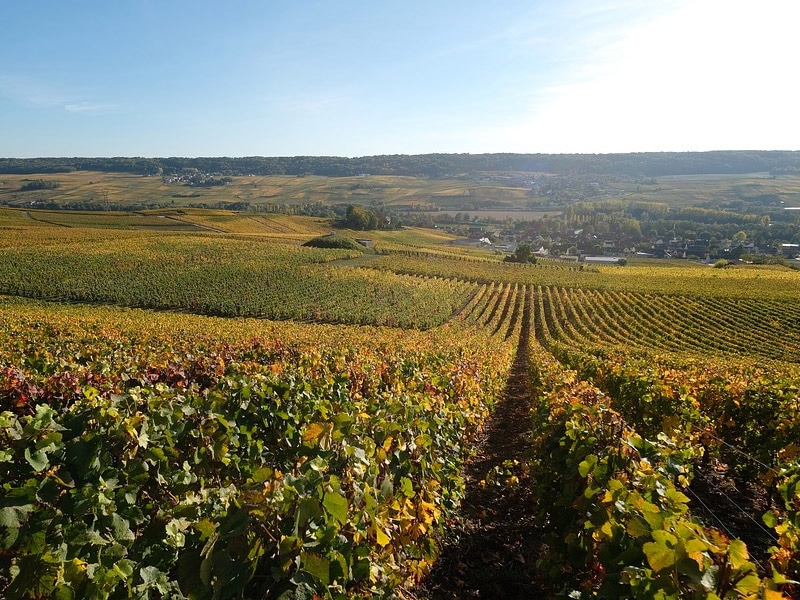 Cidades vinícolas na França champanhe frança