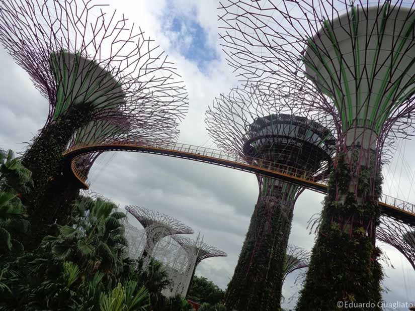 Supertree Grove Asia