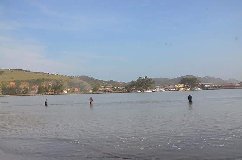 golfinhos em Santa Catarina