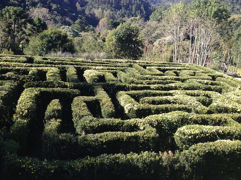 passeios românticos em campos do jordão