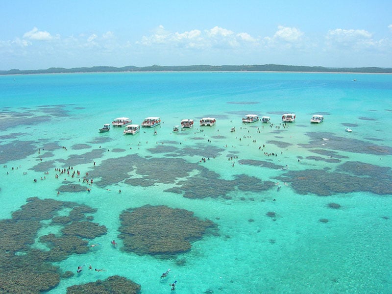 O que fazer em Maragogi na praia