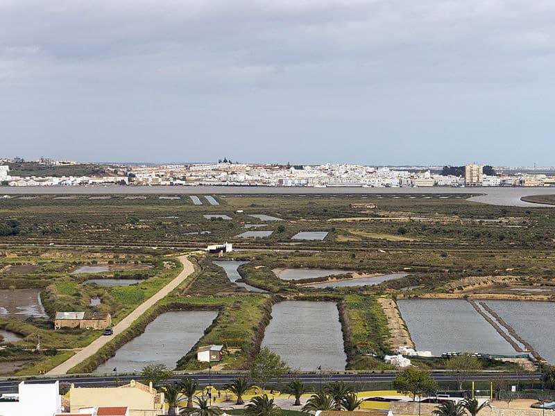 ria formosa algarve