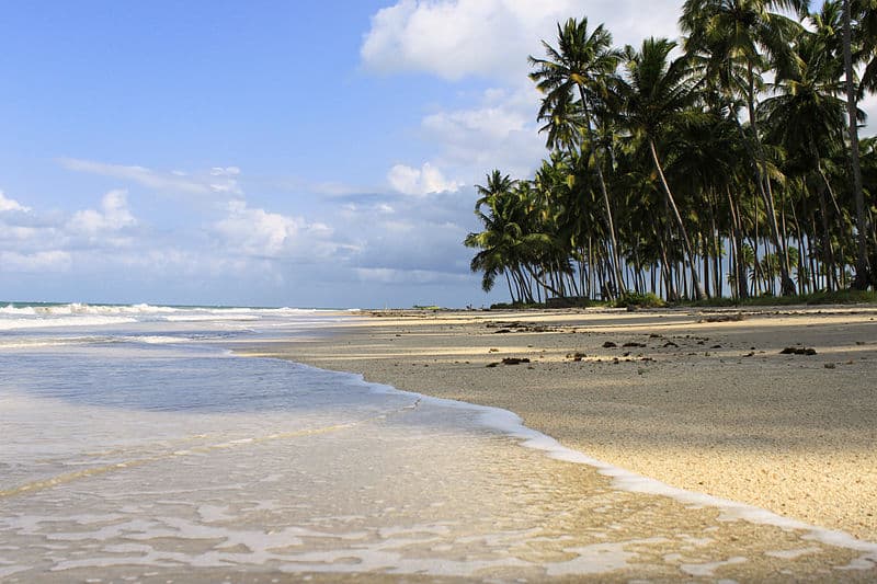 Passeios em Recife no mar 