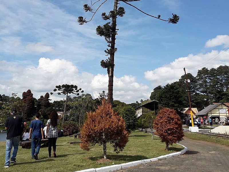 quantos dias ficar em campos do jordão