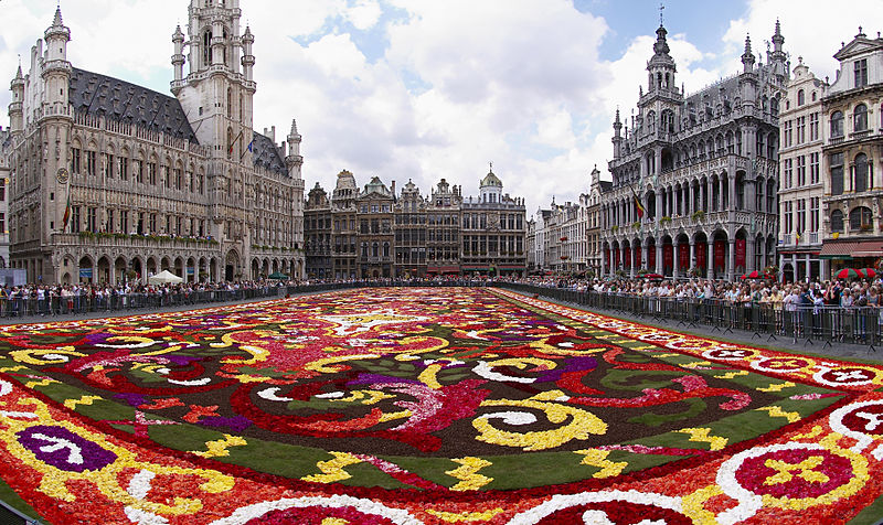 Tapete de Flores Bélgica 