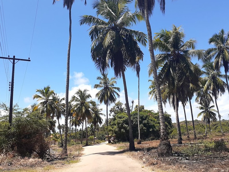 dicas de praias bonitas em Alagoas Férias em Alagoas