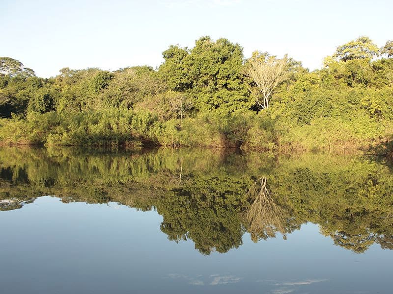 roteiro pelo pantanal