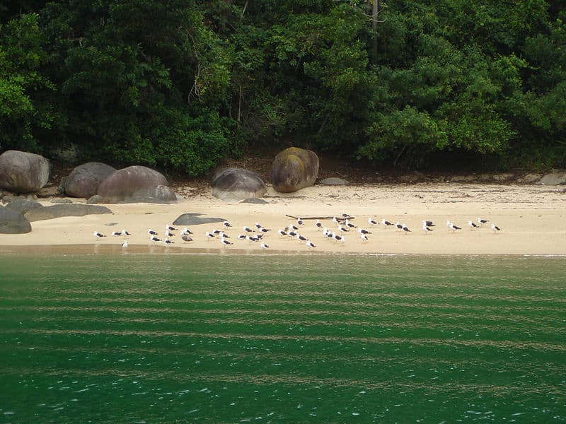 Ilha do pelado Rio de Janeiro