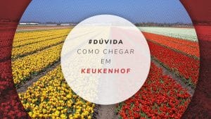 Como chegar em Keukenhof: o parque das tulipas na Holanda