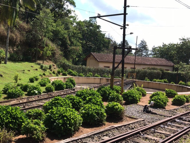 trem campos do jordão