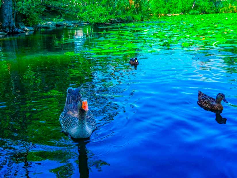 Belezas naturais na Itália