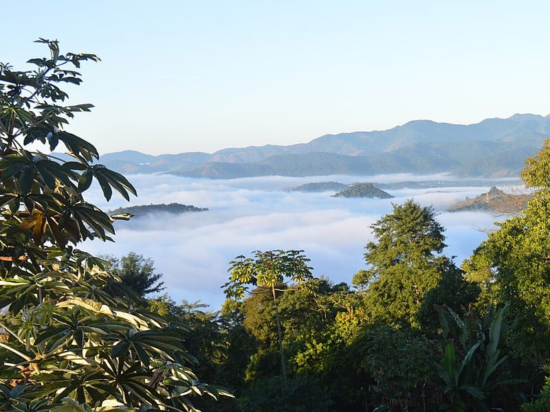 trilha floresta dourada rj