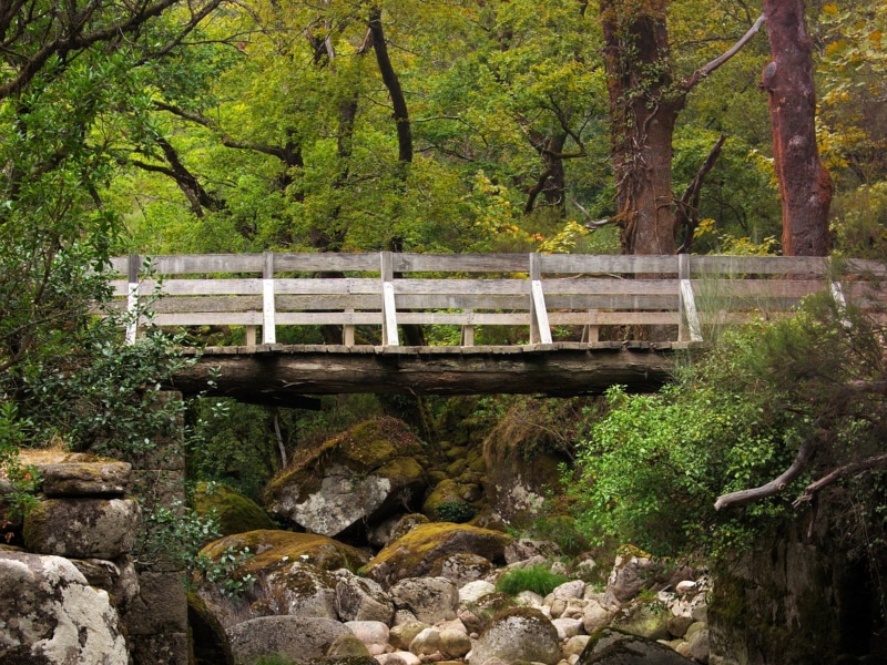 Parque Nacional da Peneda-Gerês Portugal