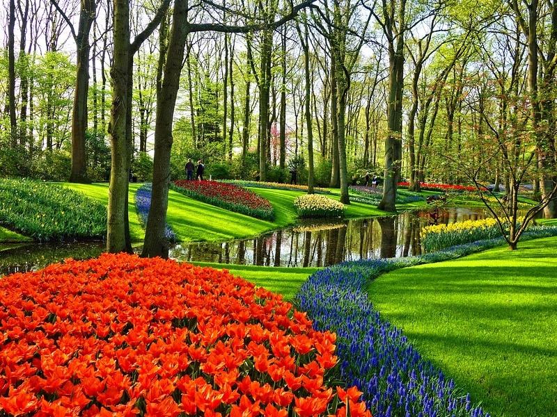 passeio zaanse schans keukenhof