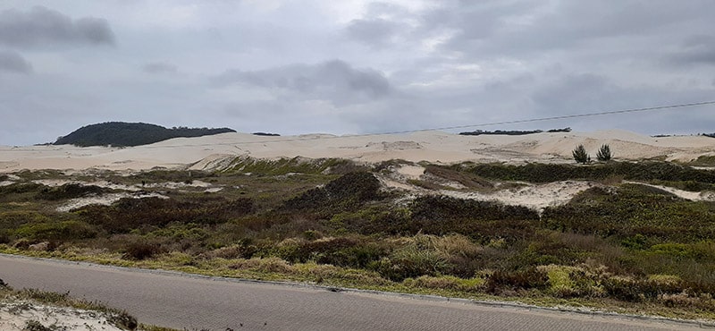 Onde ver baleias em Santa Catarina