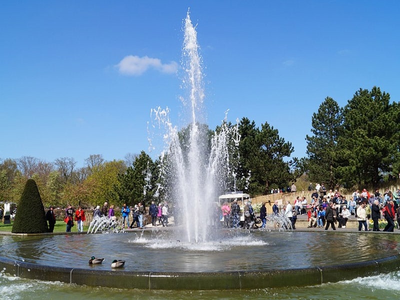 melhor horário para visitar keukenhof