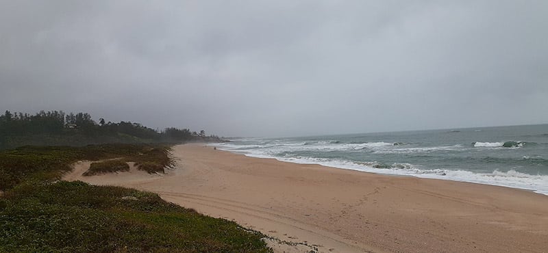 Roteiro na Rota de Baleia