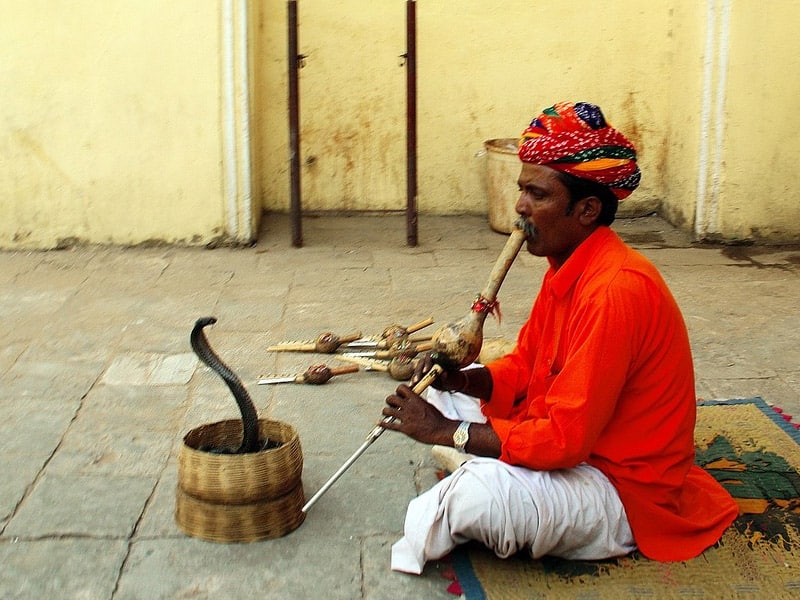 encantadores de cobra em jaipur