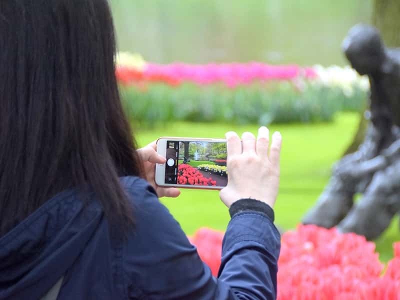 keukenhof fotos