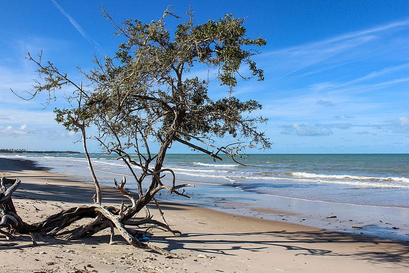 Praias da Bahia 