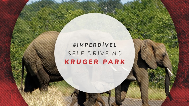 Self Drive no Kruger