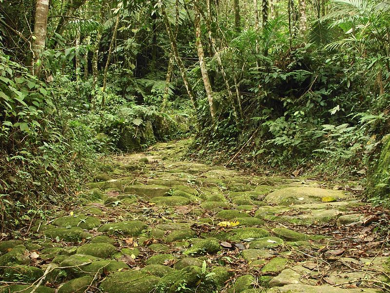 Trilhas em Paraty caminho do ouro paraty