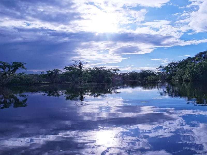 Países que fazem parte da Floresta Amzônica