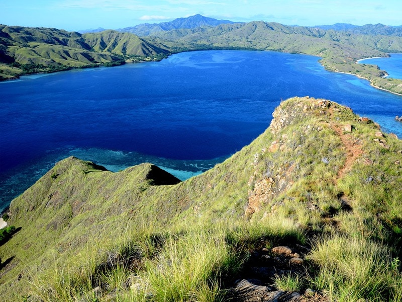 Dragão de Komodo habitat