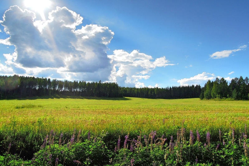 verão finlandês