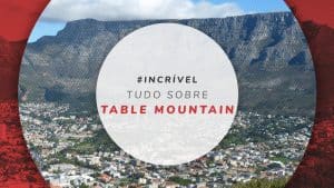 Table Mountain, em Cape Town: formas de subir, dicas e mais