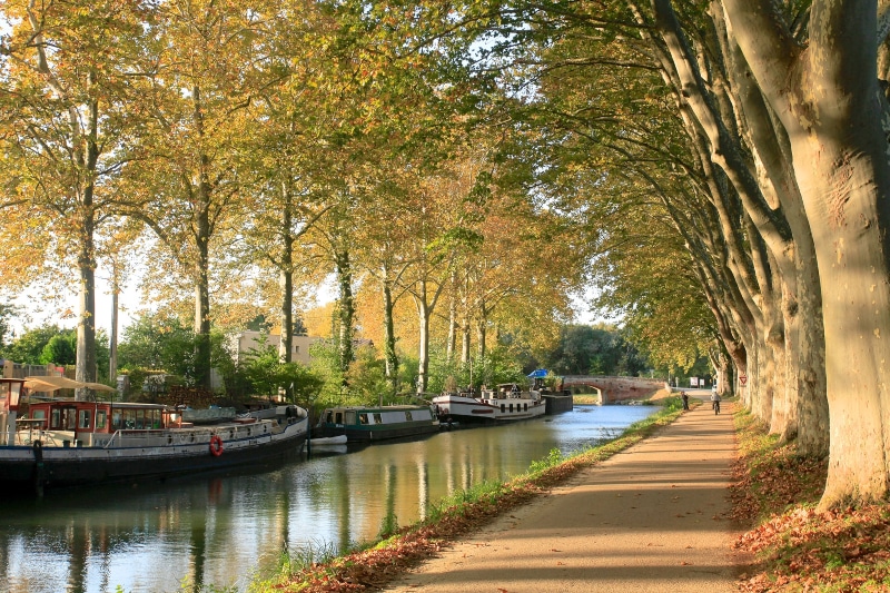 Toulouse França