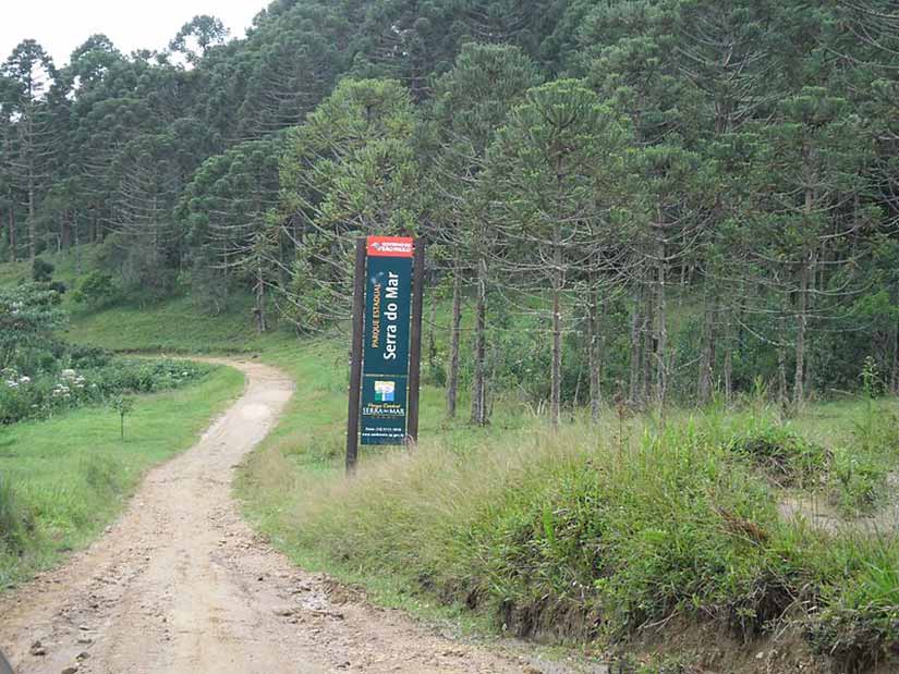 Parque Estadual Serra do Mar