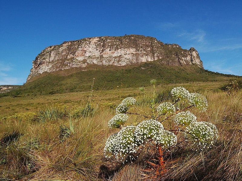 Chapada