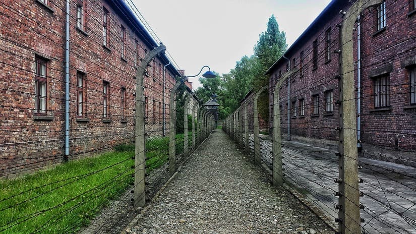 Auschwitz-Birkenau curiosidades