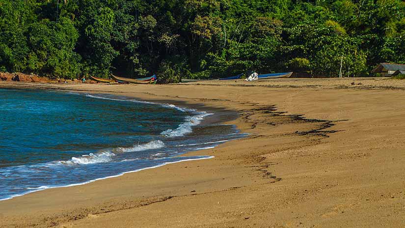 camburi ubatuba