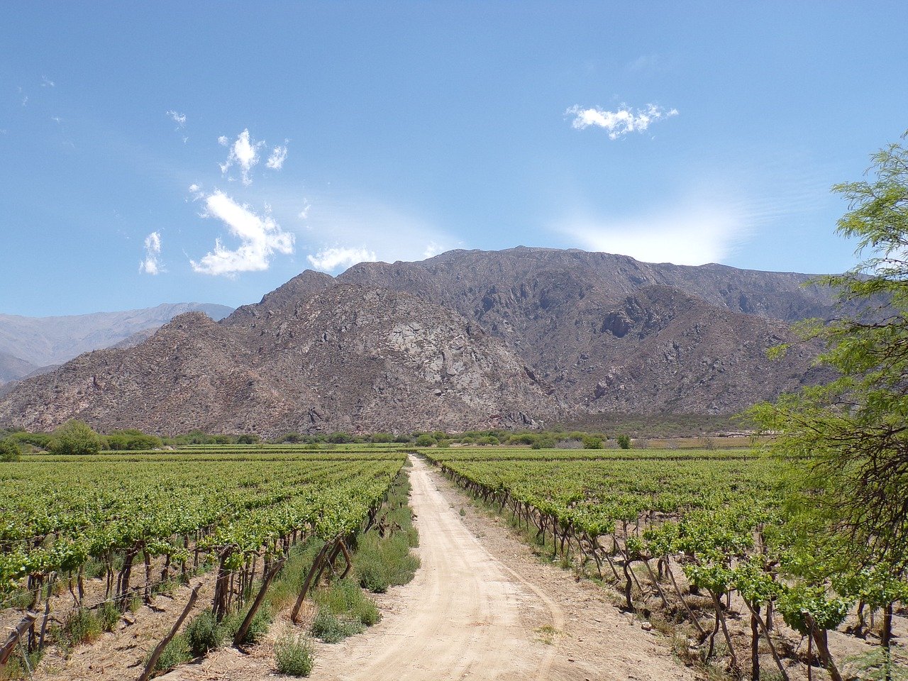 Enoturismo Cafayate roteiro em Salta e Jujuy cafayate