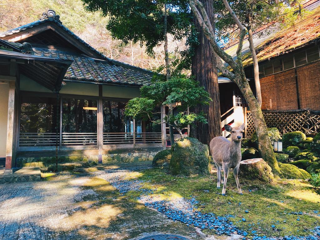 hotéis no Japão nara