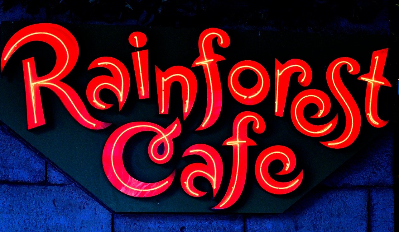 Miami para onde ir em família Rainforest cafe em Miami