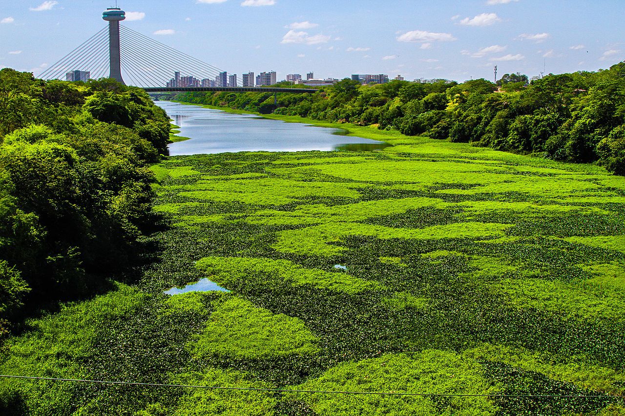 Rio Poti Teresina 