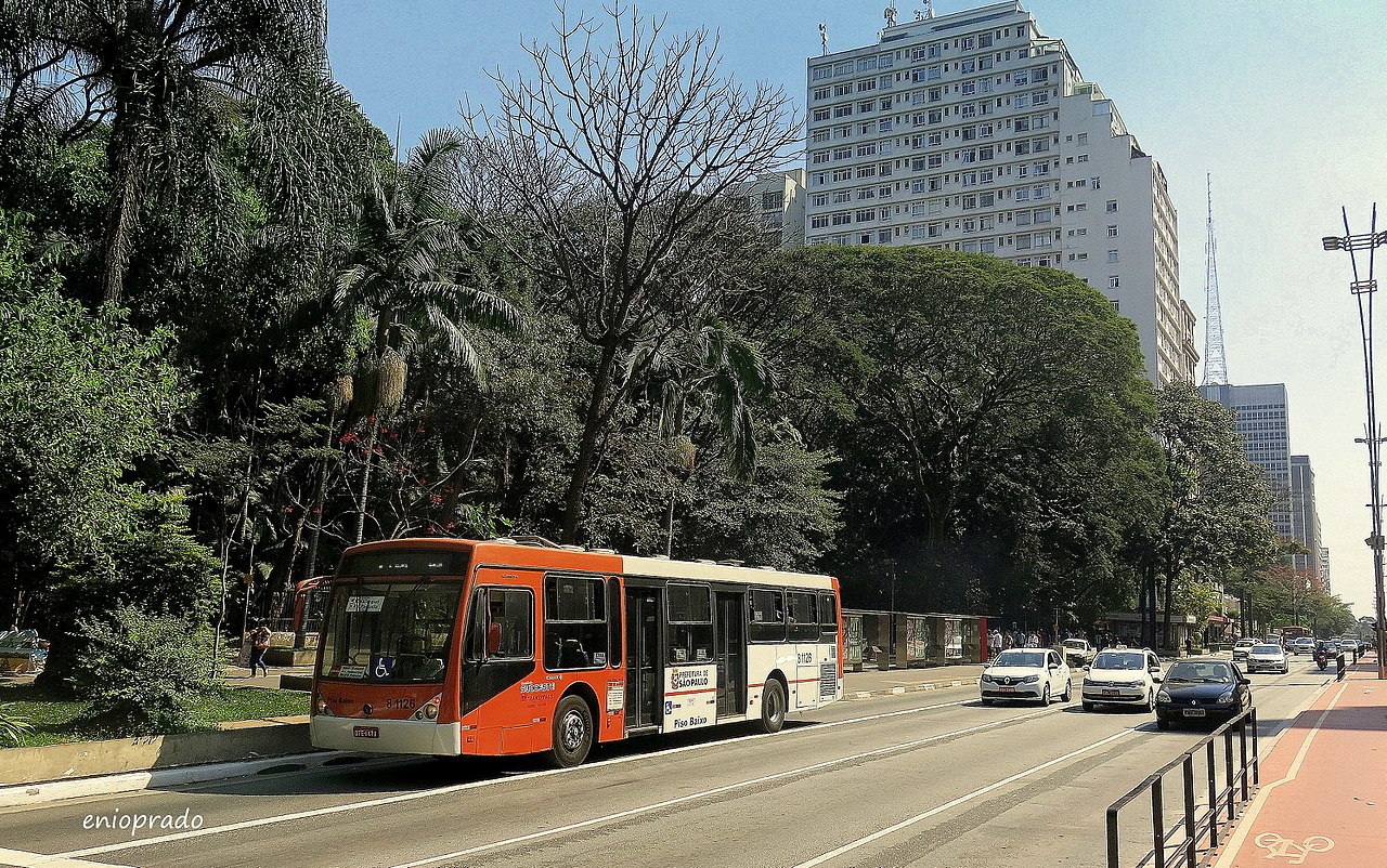Avenida Paulista Parque Trianon Avenida Paulista parques