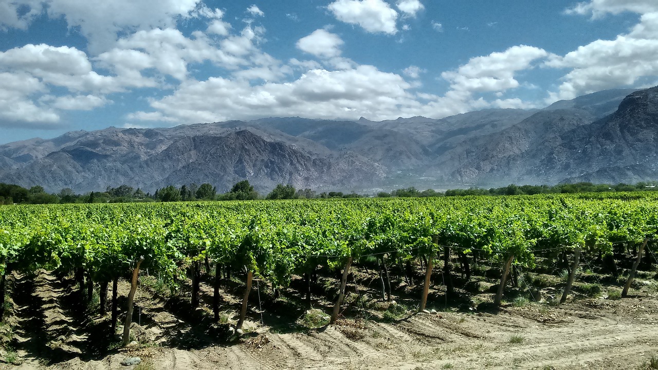 onde se hospedar em Cafayate